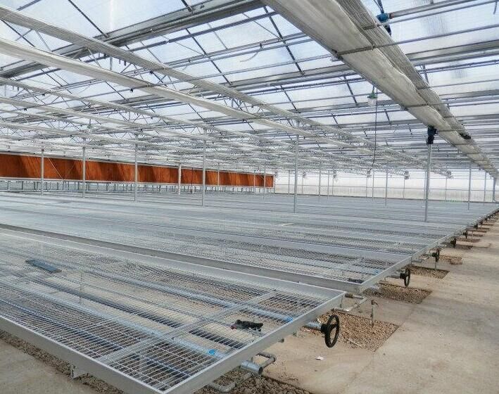 <a href='/' target='_blank'>育苗網廠家</a> <a href='/' target='_blank'>育苗網廠家</a>