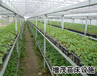 1478306874231182.jpg ydmc1.jpg