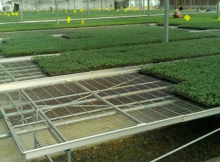 1564975161522814.jpg <a href='http://m.nuch.cn/miaochuangsheshi/199.html'target='_blank'><a href='http://m.nuch.cn/miaochuangsheshi/199.html'target='_blank'><a href='http://m.nuch.cn/miaochuangsheshi/199.html'target='_blank'>育苗床</a></a></a>.jpg