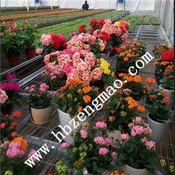 <a href='/' target='_blank'><a href='/' target='_blank'>溫室苗床</a>網</a>廠家 <a href='/' target='_blank'><a href='/' target='_blank'>溫室苗床</a>網</a>廠家