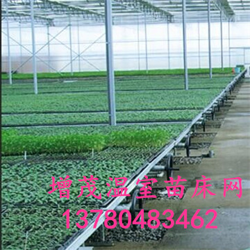 <a href='/' target='_blank'>溫室苗床</a> <a href='/' target='_blank'>溫室苗床</a>