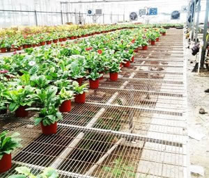 溫室植床網