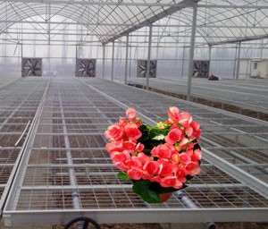 增茂公司的產(chǎn)品性價(jià)比非常高 增茂公司的產(chǎn)品性價(jià)比非常高